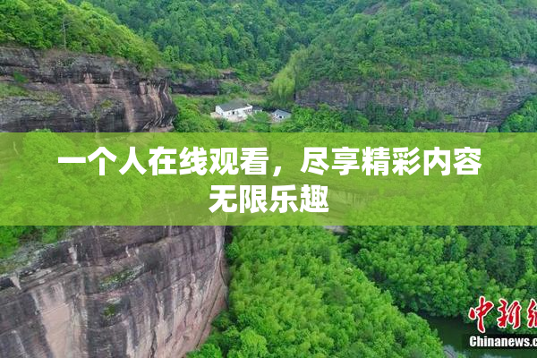 一个人在线观看，尽享精彩内容无限乐趣