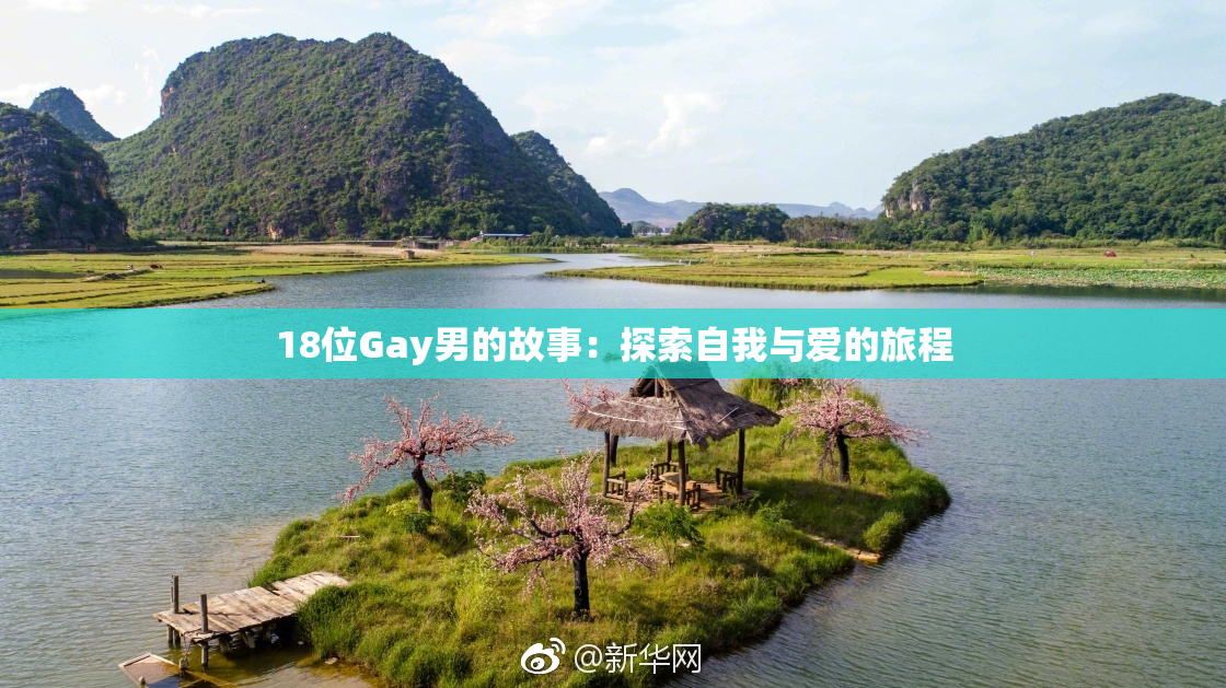 18位Gay男的故事：探索自我与爱的旅程