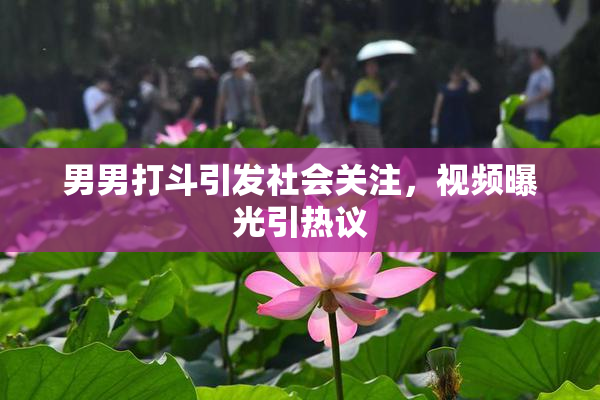 男男打斗引发社会关注，视频曝光引热议