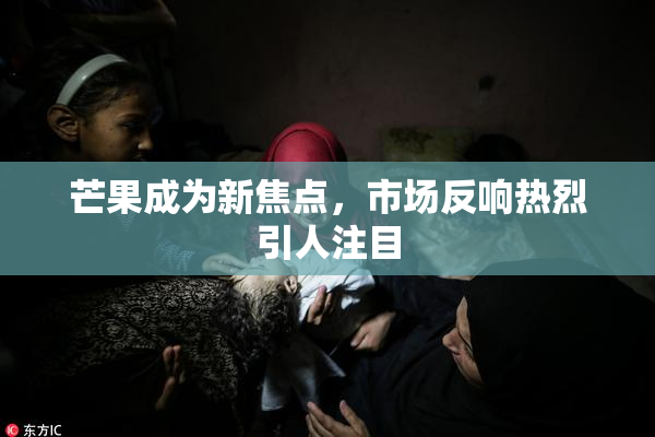 芒果成为新焦点，市场反响热烈引人注目