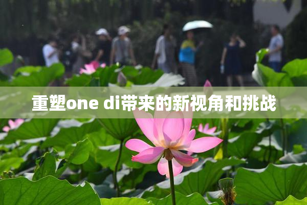 重塑one di带来的新视角和挑战