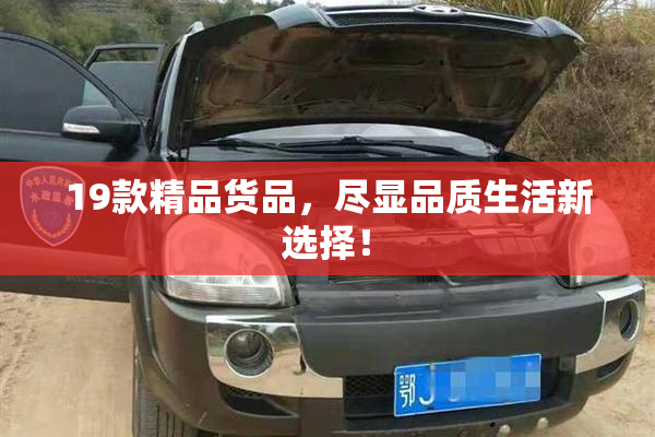 19款精品货品，尽显品质生活新选择！