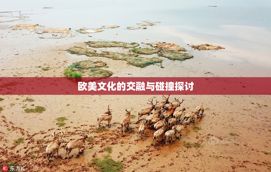 欧美文化的交融与碰撞探讨