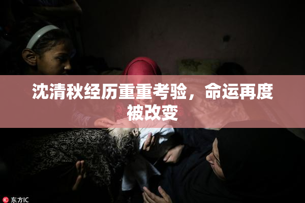沈清秋经历重重考验，命运再度被改变