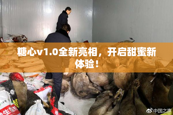 糖心v1.0全新亮相，开启甜蜜新体验！