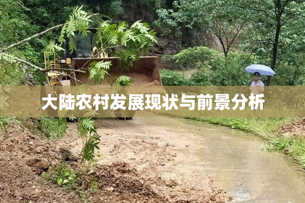 大陆农村发展现状与前景分析