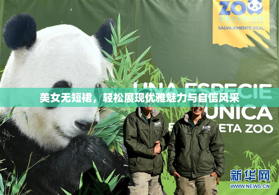 美女无短裙，轻松展现优雅魅力与自信风采