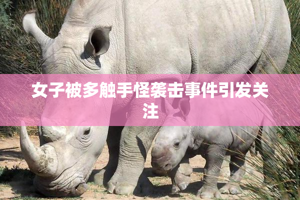 女子被多触手怪袭击事件引发关注
