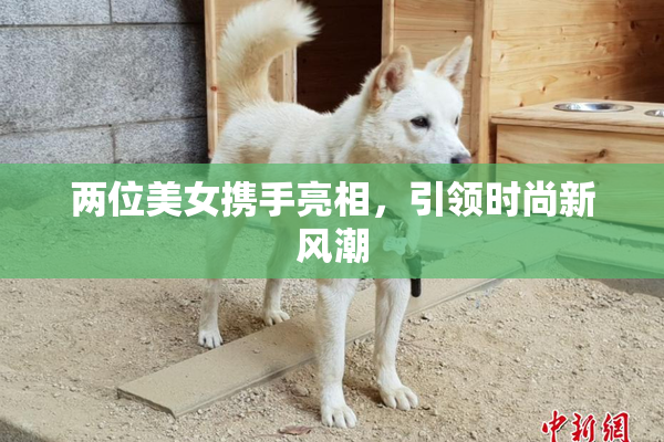 两位美女携手亮相，引领时尚新风潮