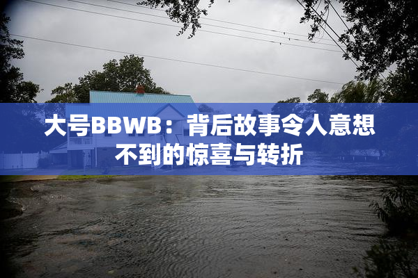 大号BBWB：背后故事令人意想不到的惊喜与转折