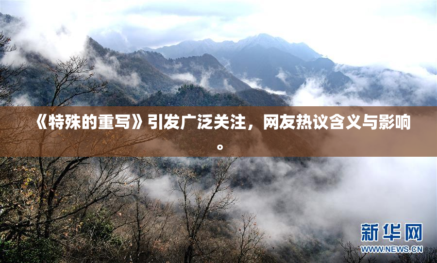 《特殊的重写》引发广泛关注，网友热议含义与影响。