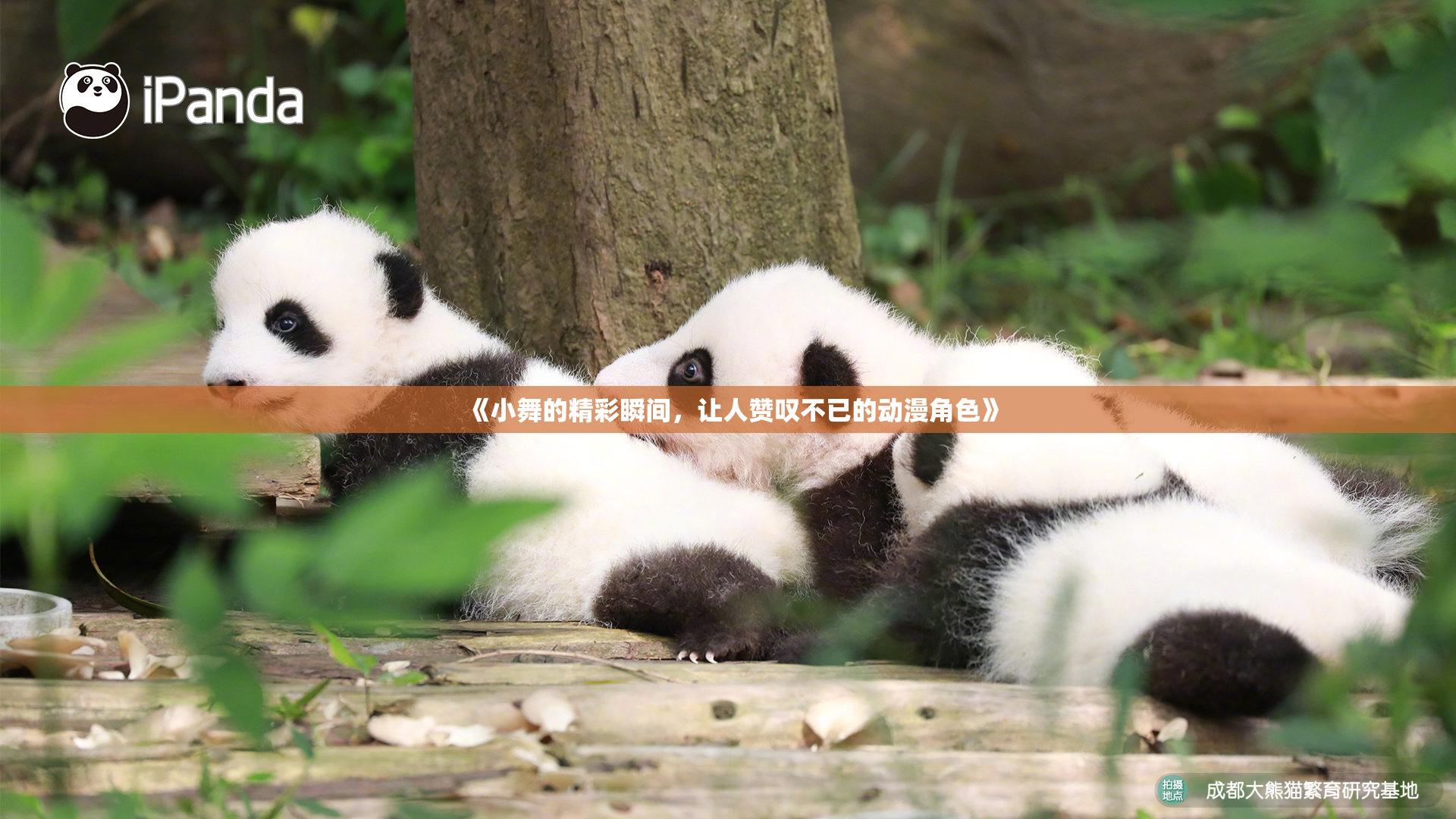 《小舞的精彩瞬间，让人赞叹不已的动漫角色》