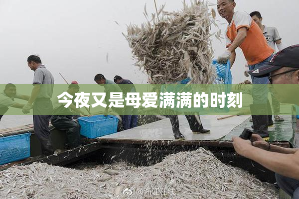 今夜又是母爱满满的时刻