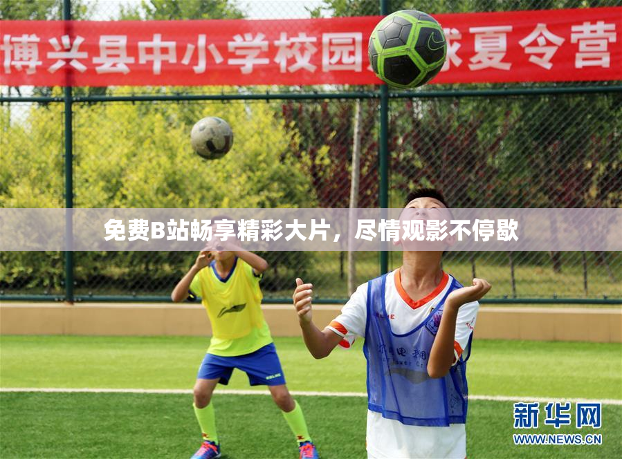 免费B站畅享精彩大片，尽情观影不停歇