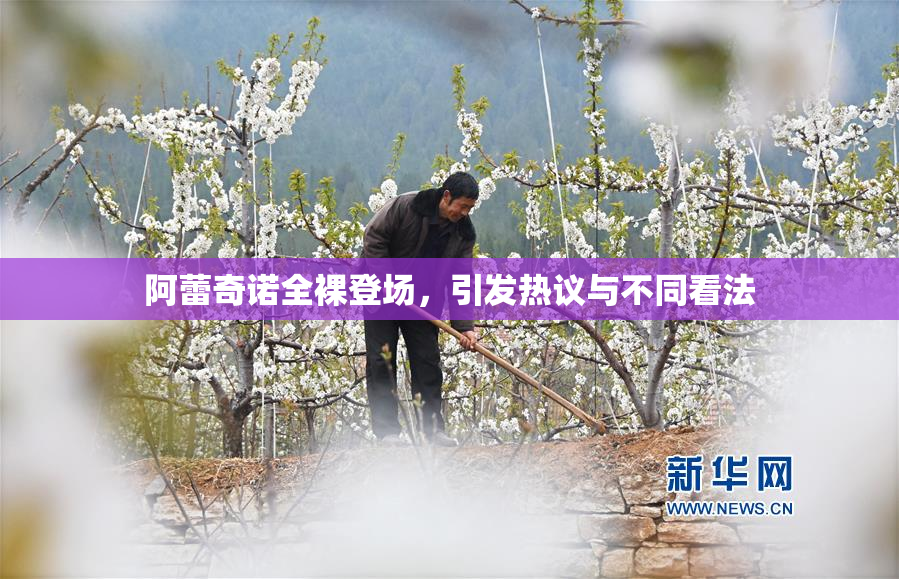 阿蕾奇诺全裸登场，引发热议与不同看法