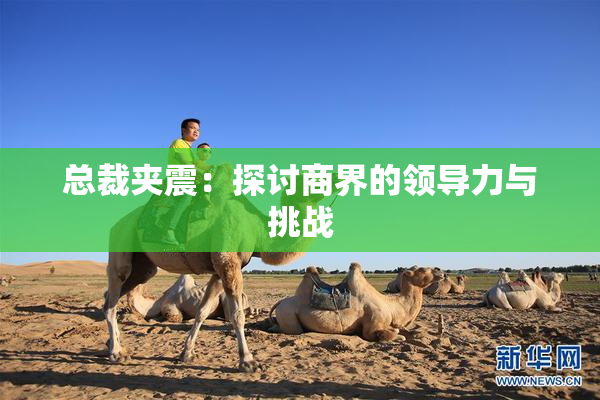总裁夹震：探讨商界的领导力与挑战