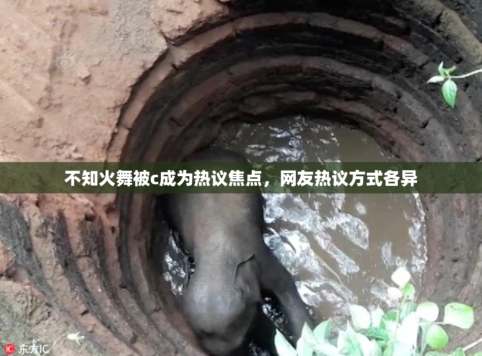 不知火舞被c成为热议焦点，网友热议方式各异