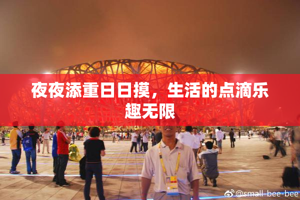 夜夜添重日日摸，生活的点滴乐趣无限