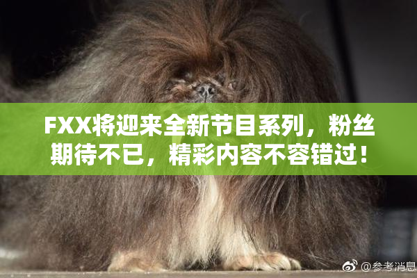FXX将迎来全新节目系列，粉丝期待不已，精彩内容不容错过！