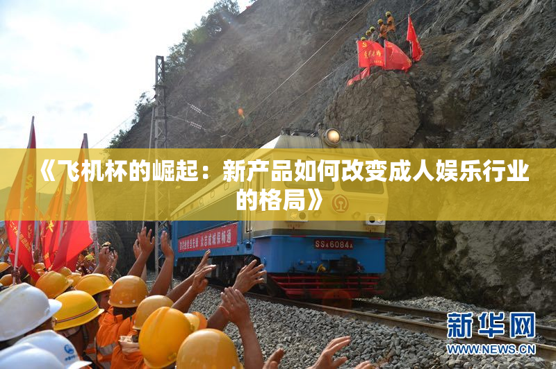 《飞机杯的崛起：新产品如何改变成人娱乐行业的格局》