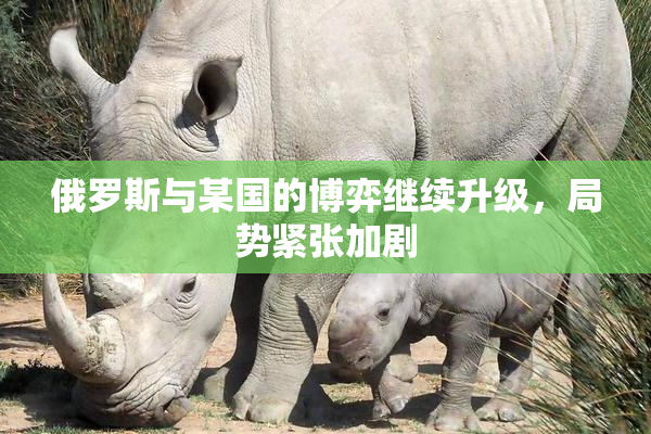 俄罗斯与某国的博弈继续升级，局势紧张加剧