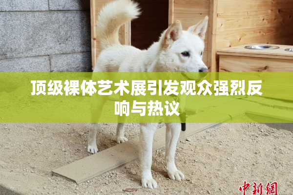 顶级裸体艺术展引发观众强烈反响与热议