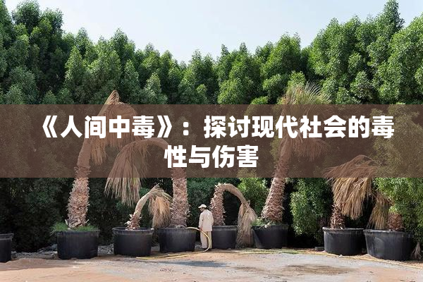 《人间中毒》：探讨现代社会的毒性与伤害