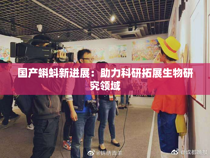 国产蝌蚪新进展：助力科研拓展生物研究领域