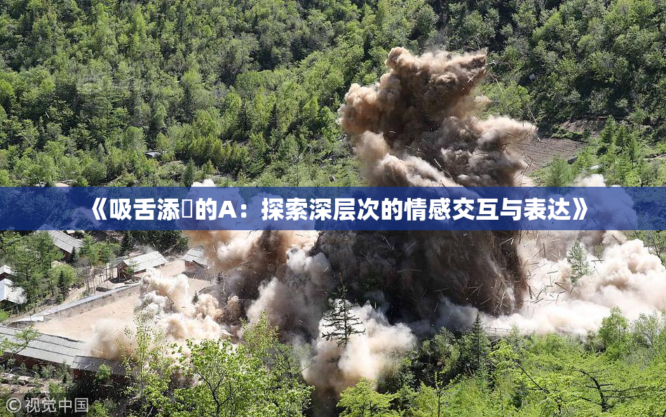 《吸舌添泬的A：探索深层次的情感交互与表达》