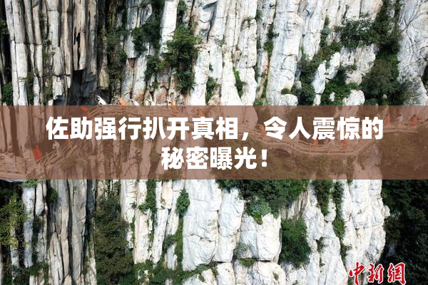 佐助强行扒开真相，令人震惊的秘密曝光！