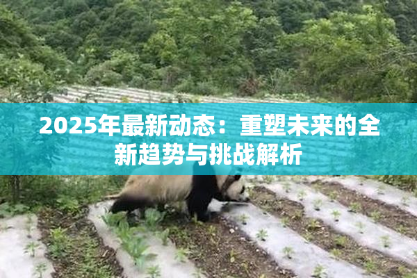 2025年最新动态：重塑未来的全新趋势与挑战解析