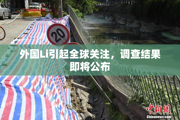 外国Li引起全球关注，调查结果即将公布