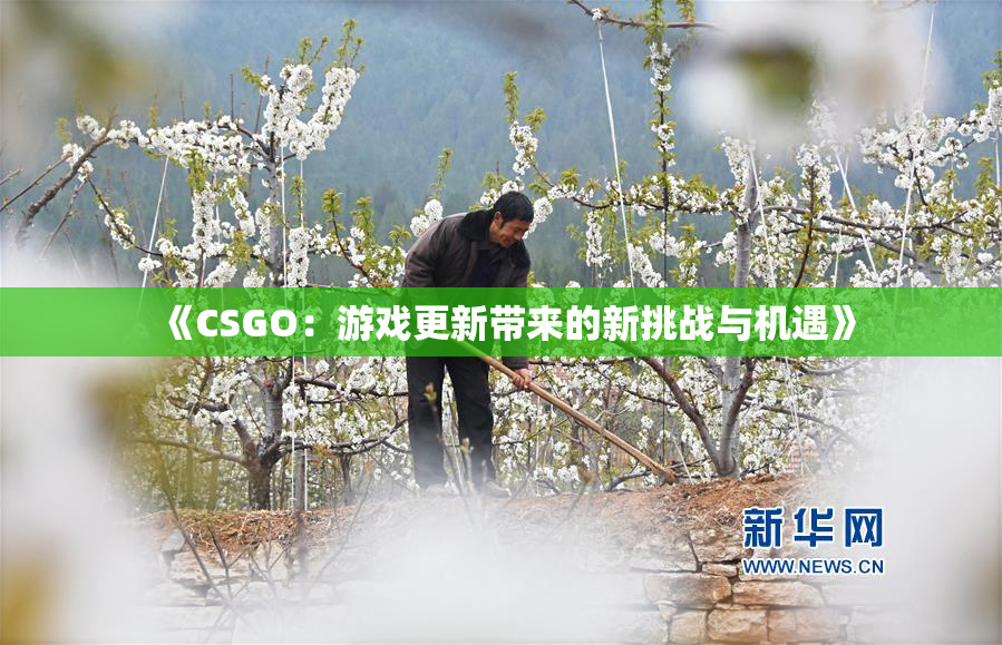 《CSGO：游戏更新带来的新挑战与机遇》