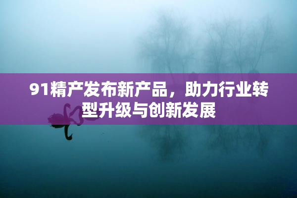 91精产发布新产品，助力行业转型升级与创新发展
