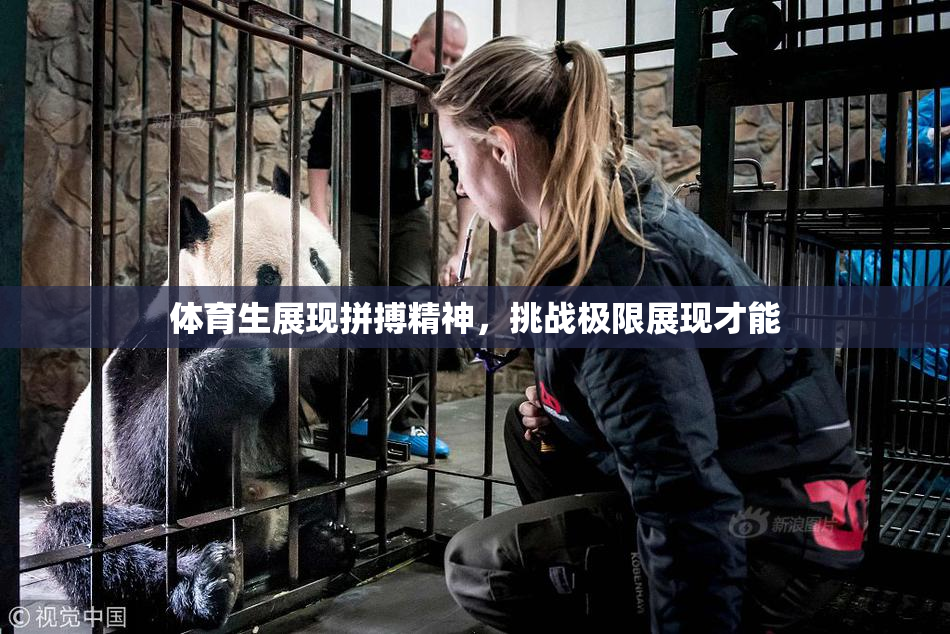 体育生展现拼搏精神，挑战极限展现才能