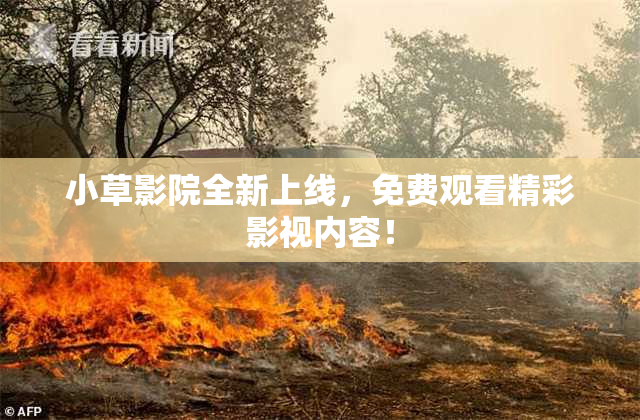 小草影院全新上线，免费观看精彩影视内容！