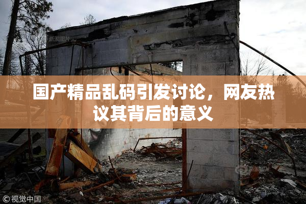 国产精品乱码引发讨论，网友热议其背后的意义
