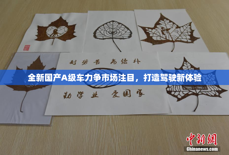 全新国产A级车力争市场注目，打造驾驶新体验