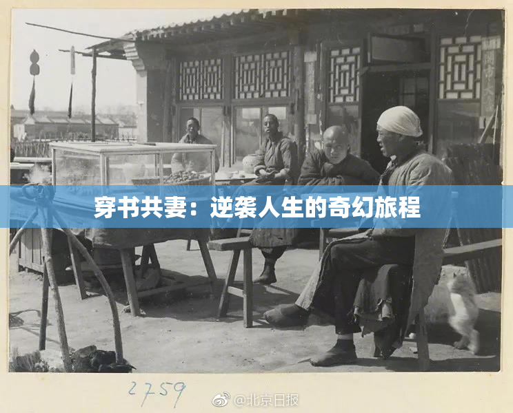 穿书共妻：逆袭人生的奇幻旅程