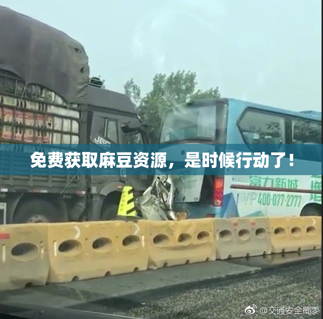 免费获取麻豆资源，是时候行动了！