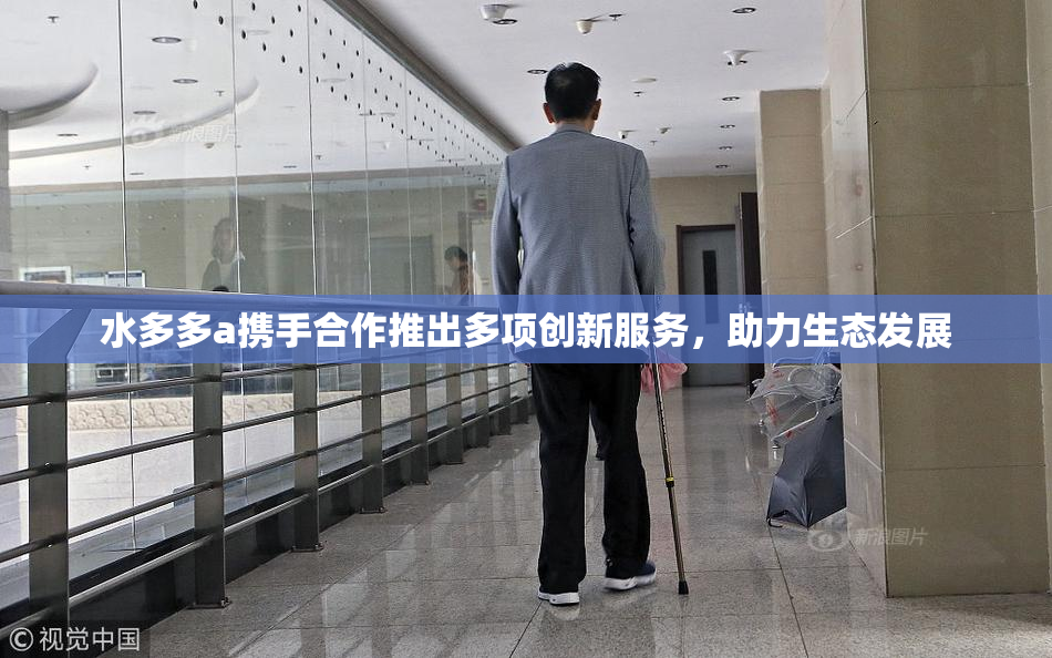 水多多a携手合作推出多项创新服务，助力生态发展