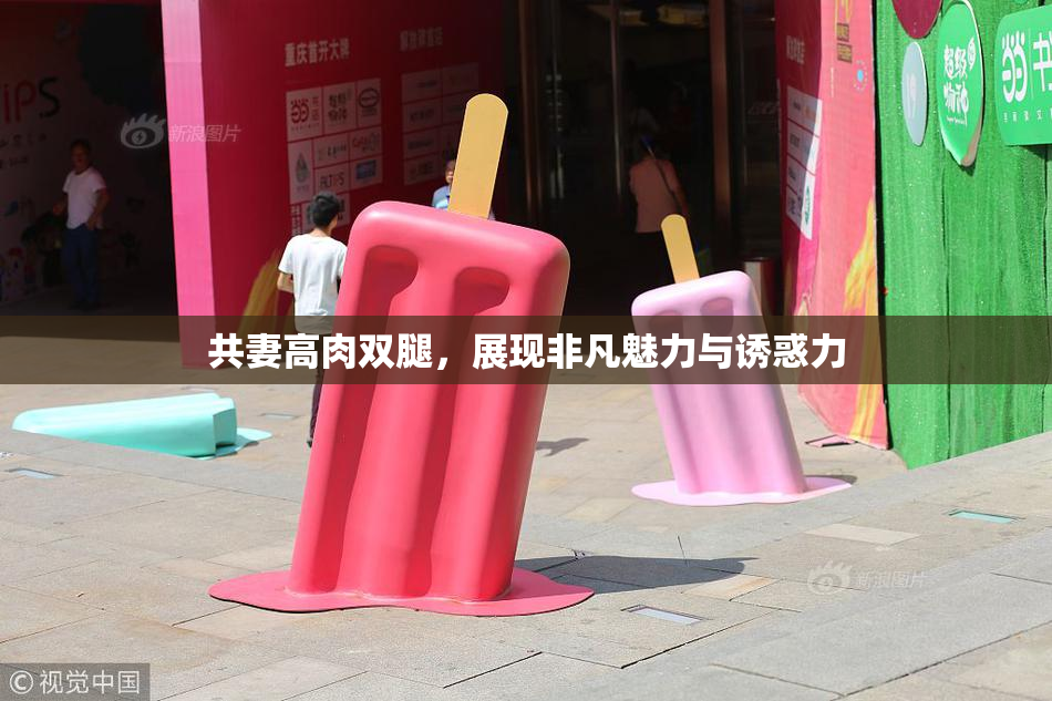 共妻高肉双腿，展现非凡魅力与诱惑力
