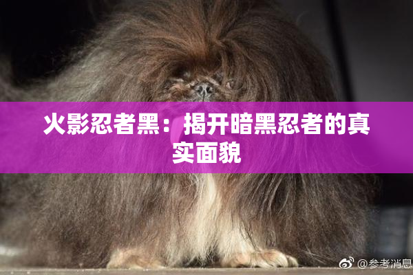 火影忍者黑：揭开暗黑忍者的真实面貌