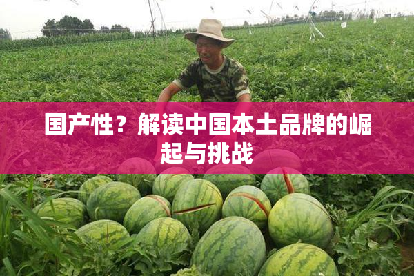国产性？解读中国本土品牌的崛起与挑战