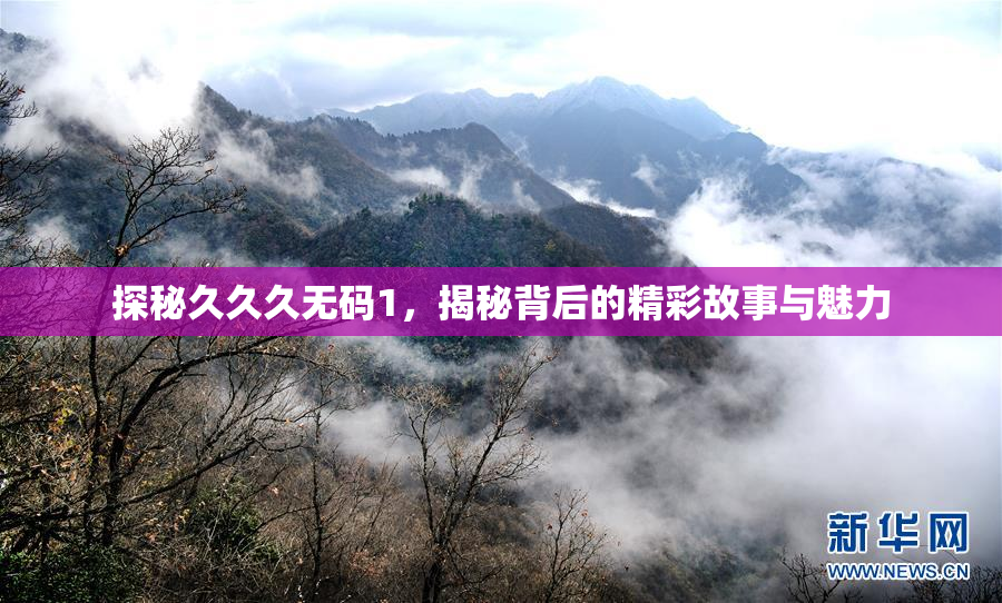 探秘久久久无码1，揭秘背后的精彩故事与魅力