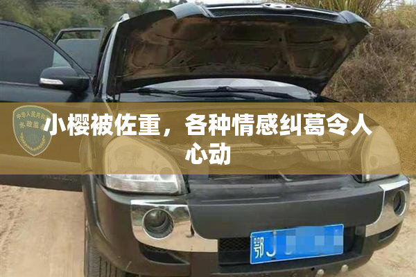 小樱被佐重，各种情感纠葛令人心动