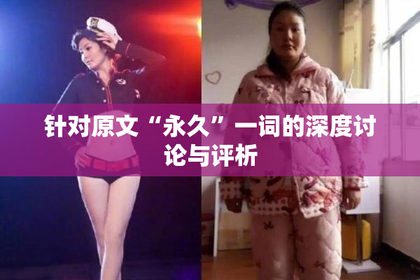 针对原文“永久”一词的深度讨论与评析