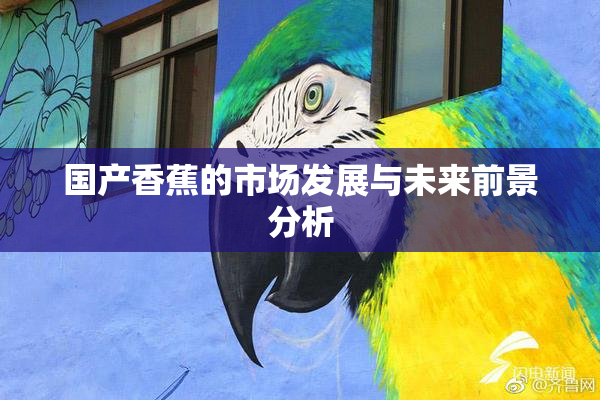 国产香蕉的市场发展与未来前景分析