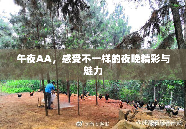 午夜AA，感受不一样的夜晚精彩与魅力