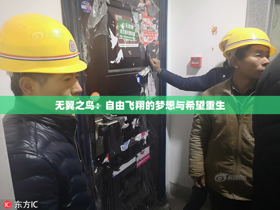 无翼之鸟：自由飞翔的梦想与希望重生